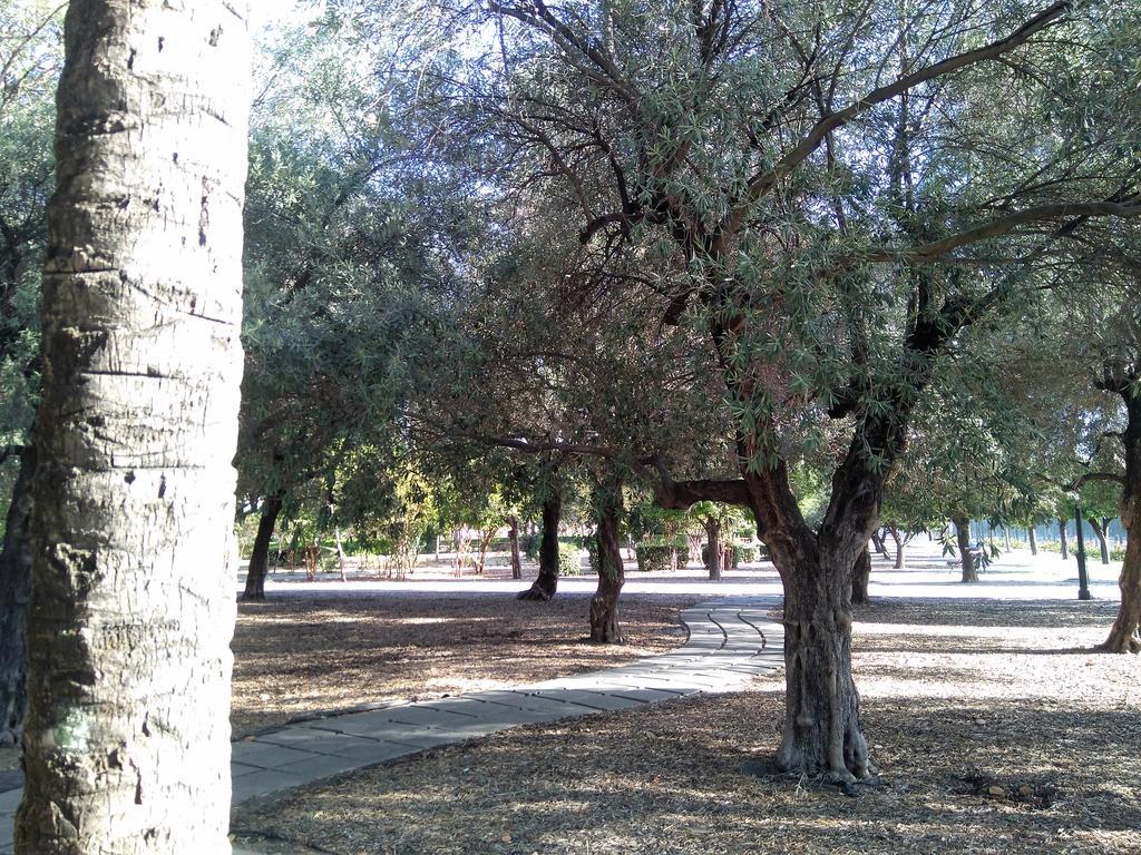 Apartamento Buhaira Sevilla Bagian luar foto