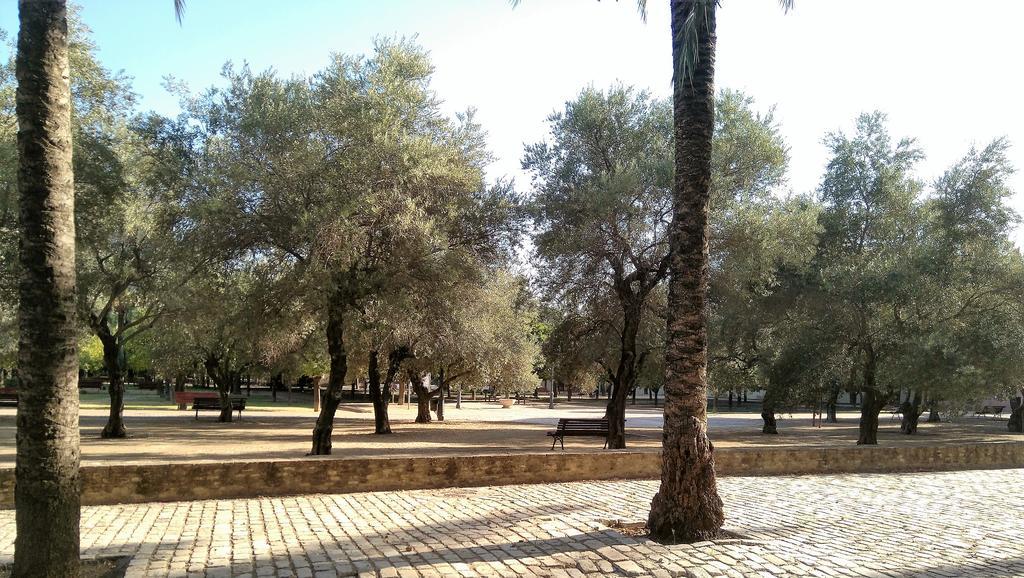 Apartamento Buhaira Sevilla Bagian luar foto