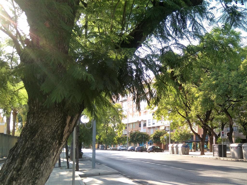 Apartamento Buhaira Sevilla Bagian luar foto
